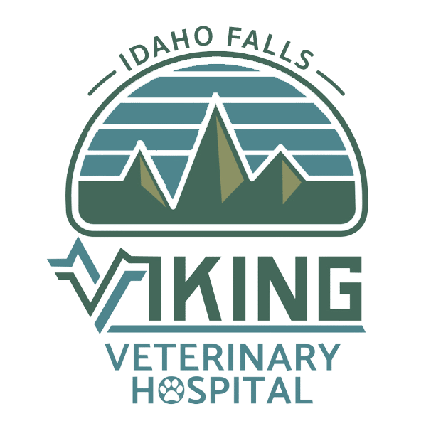 Viking Veterinary Hospital logo