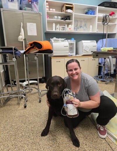 A woman smiles as she kneels next to a brown dog in a veterinary clinic. She holds a blood donation bag.