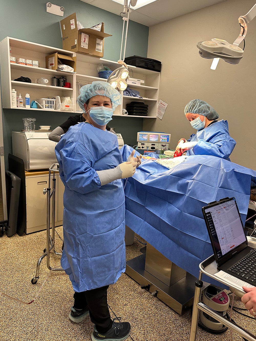 Two veterinarians in blue scrubs and masks perform veterinary surgery in a well-equipped operating room.